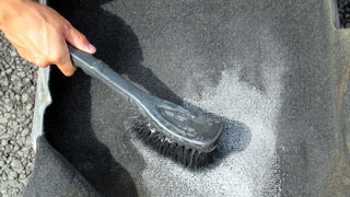 カーペット洗浄中